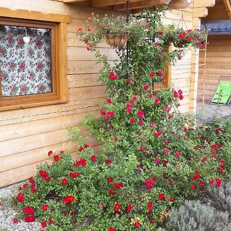 Domki Polanica בקתה פולניסה-ז'דוז'