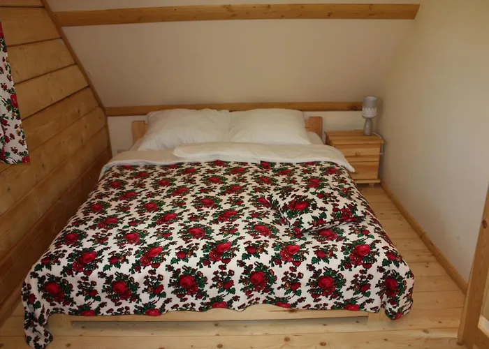 Domki Polanica 波兰尼卡-兹德鲁伊