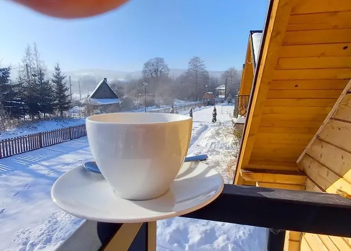 Chalet Domki Polanica